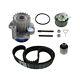 Skf Water Pump And Timing Belt Set Kit Vkmc 01250-1 For Audi Ford Seat Skoda Vw