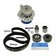 Skf Water Pump And Timing Belt Set Kit Vkmc 01251 For Audi Seat Skoda Vw