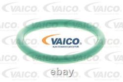V10-4697 VAICO Oil Trap, crankcase breather for AUDI, SEAT, SKODA, VW